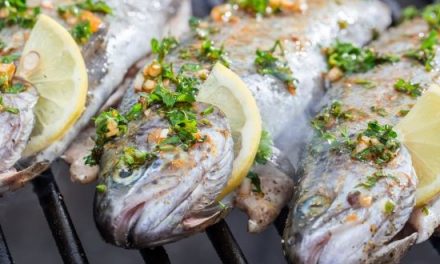 Fisch grillen – Mit diesen 5 Tipps gelingt er auch dir!