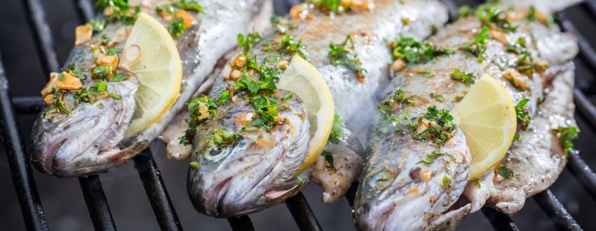 Fisch grillen – Mit diesen 5 Tipps gelingt er auch dir!